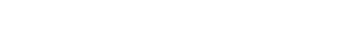 Businessmastering logo hvit